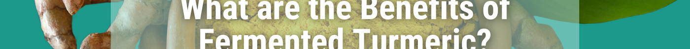 Turmeric bowl with caption: What are the Benefits of Fermented Turmeric?