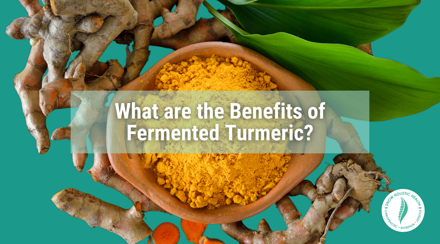 Turmeric bowl with caption: What are the Benefits of Fermented Turmeric?