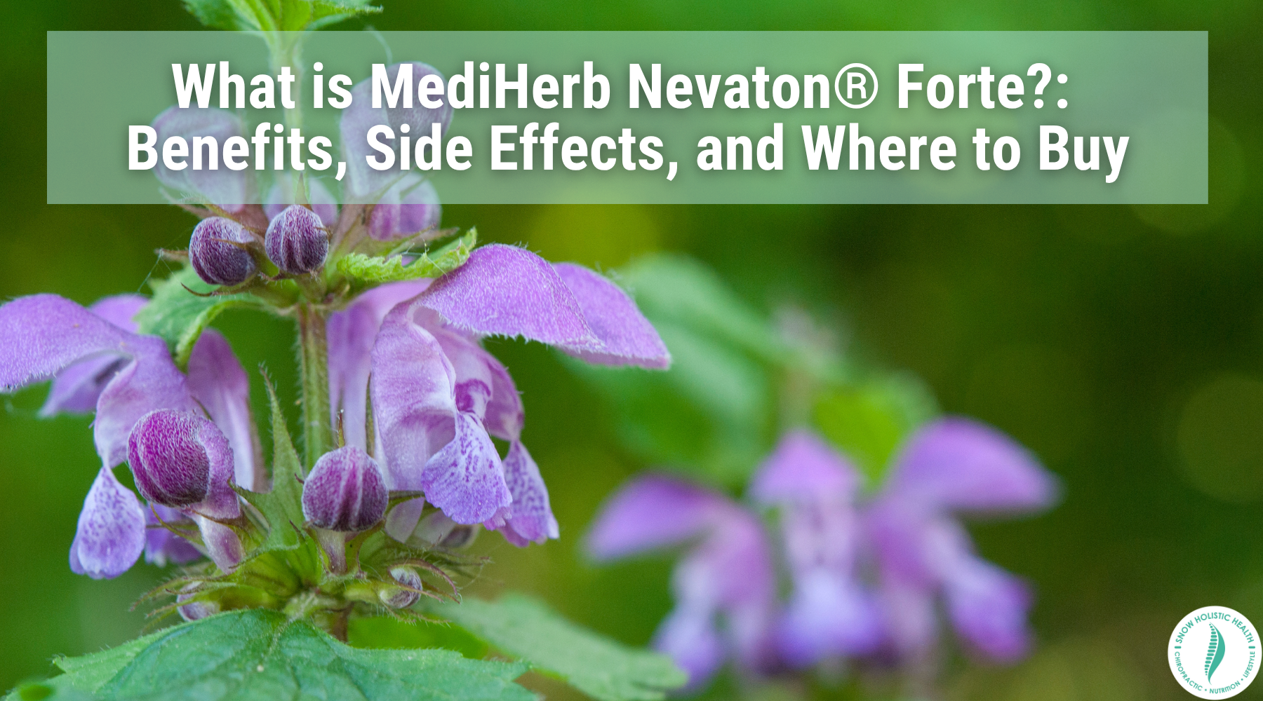 What is MediHerb Nevaton Forte? Benefots, Side Effects, and Where to Buy