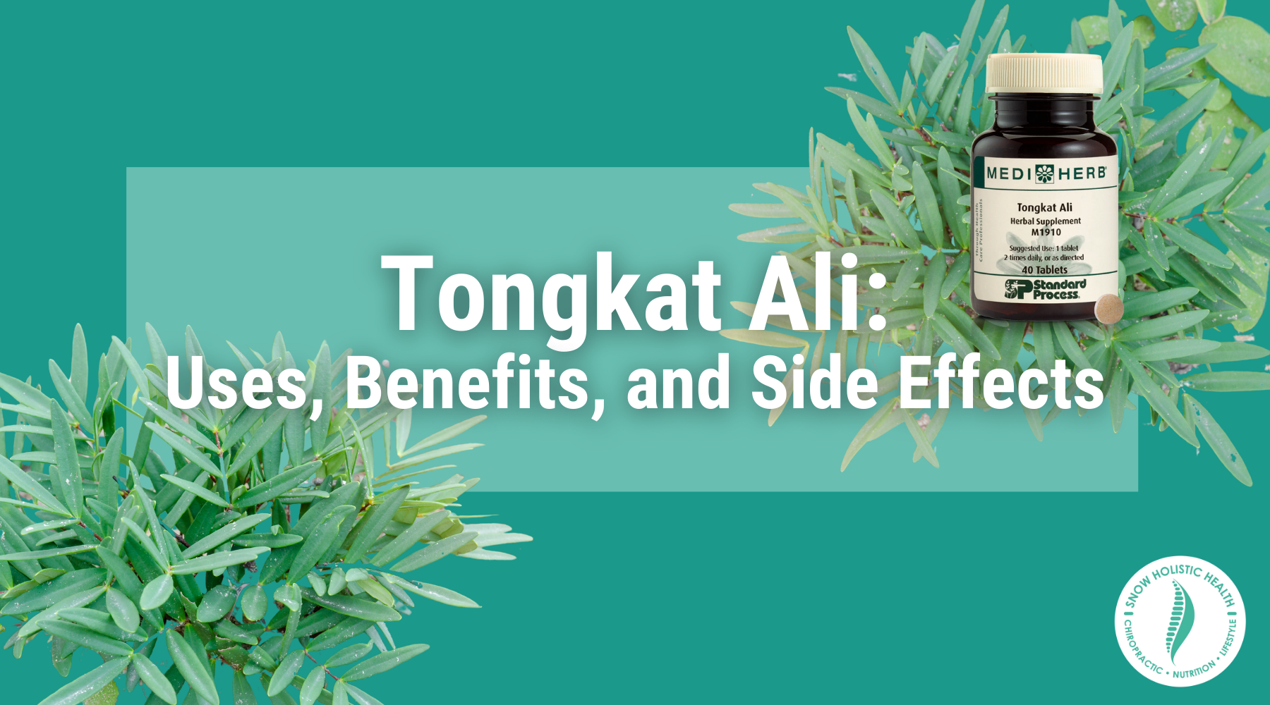tongkat ali: uses, benefits, and side effects