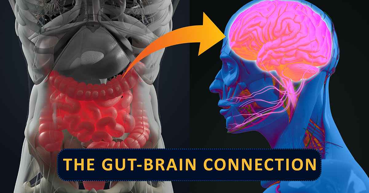 Understanding the Gut-Brain Connection & How to Make it Work For You