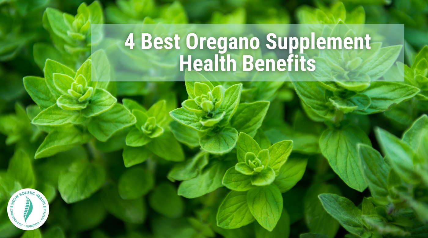 4 Best Oregano Supplement Health Benefits