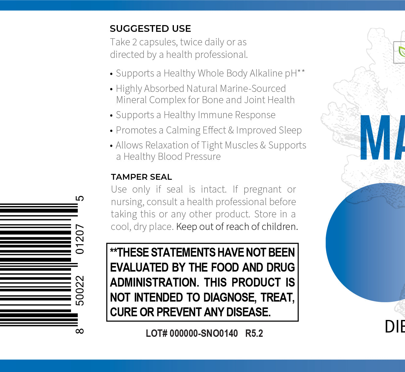 Magnesium Power