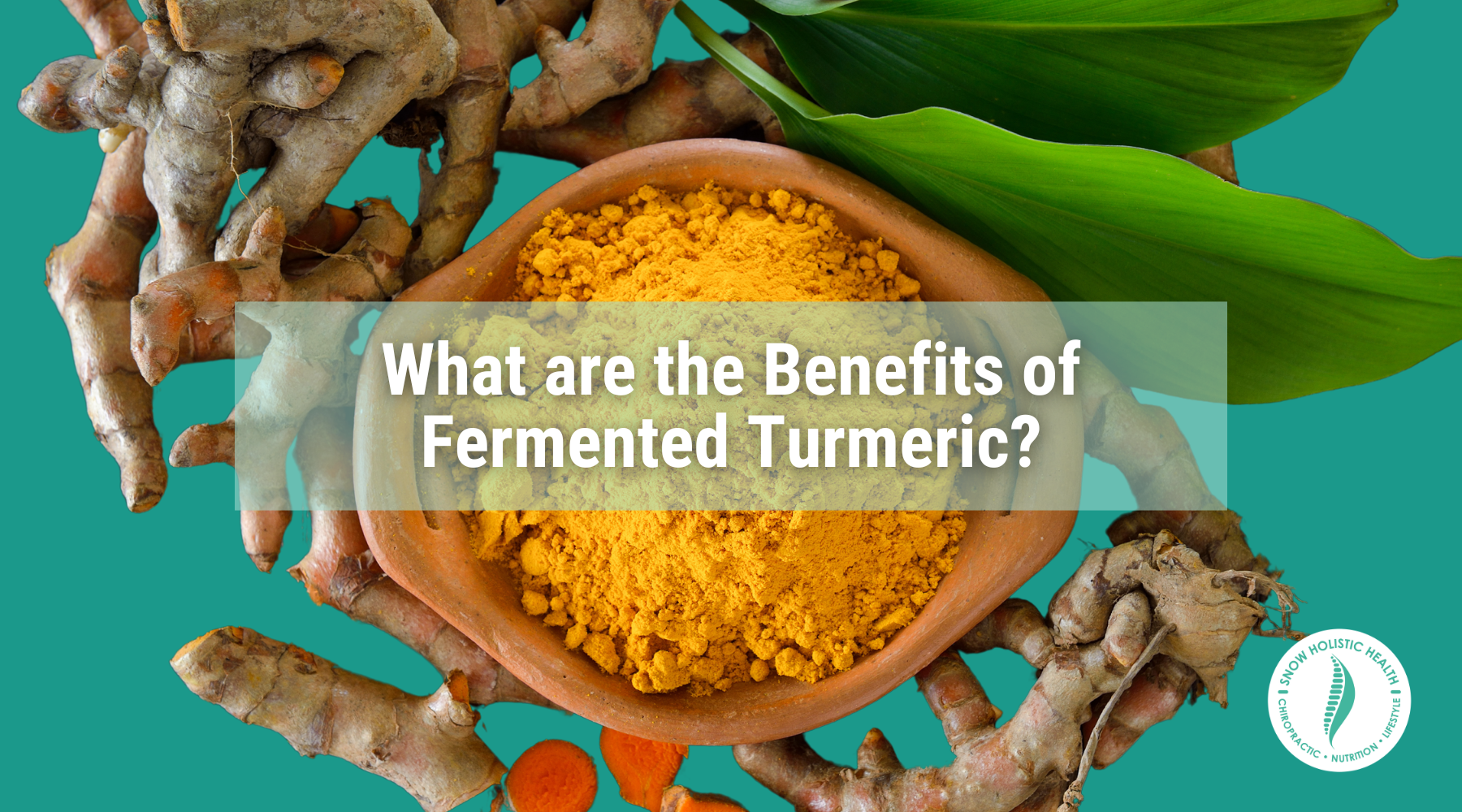 Turmeric bowl with caption: What are the Benefits of Fermented Turmeric?