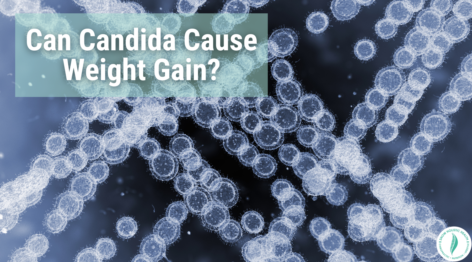 Can Candida Cause Weight Gain?
