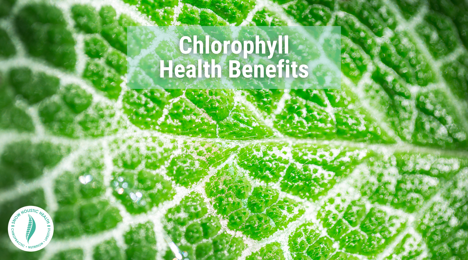 Chlorophyll Health Benefits