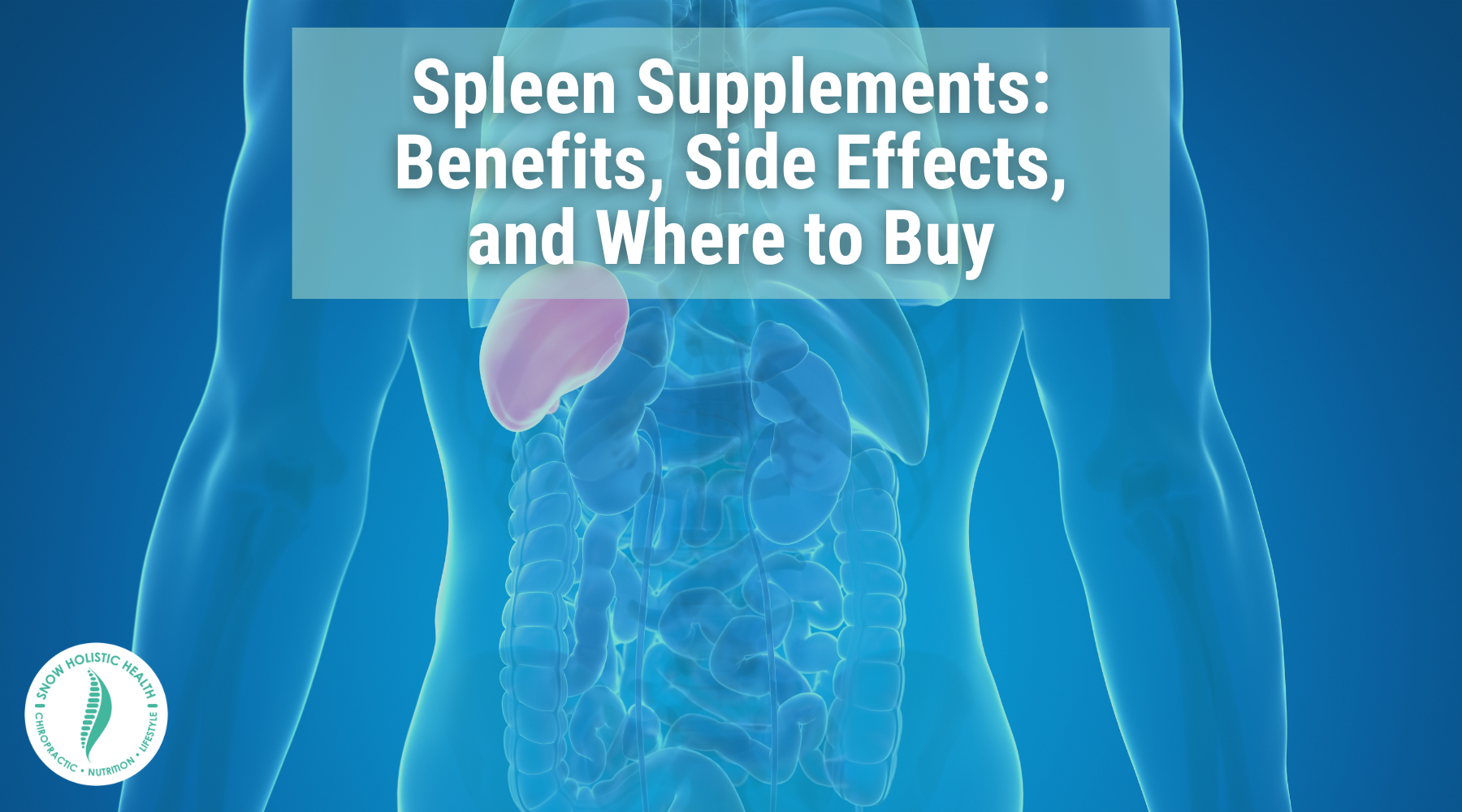 Spleen supplements benefits side effects and where to buy