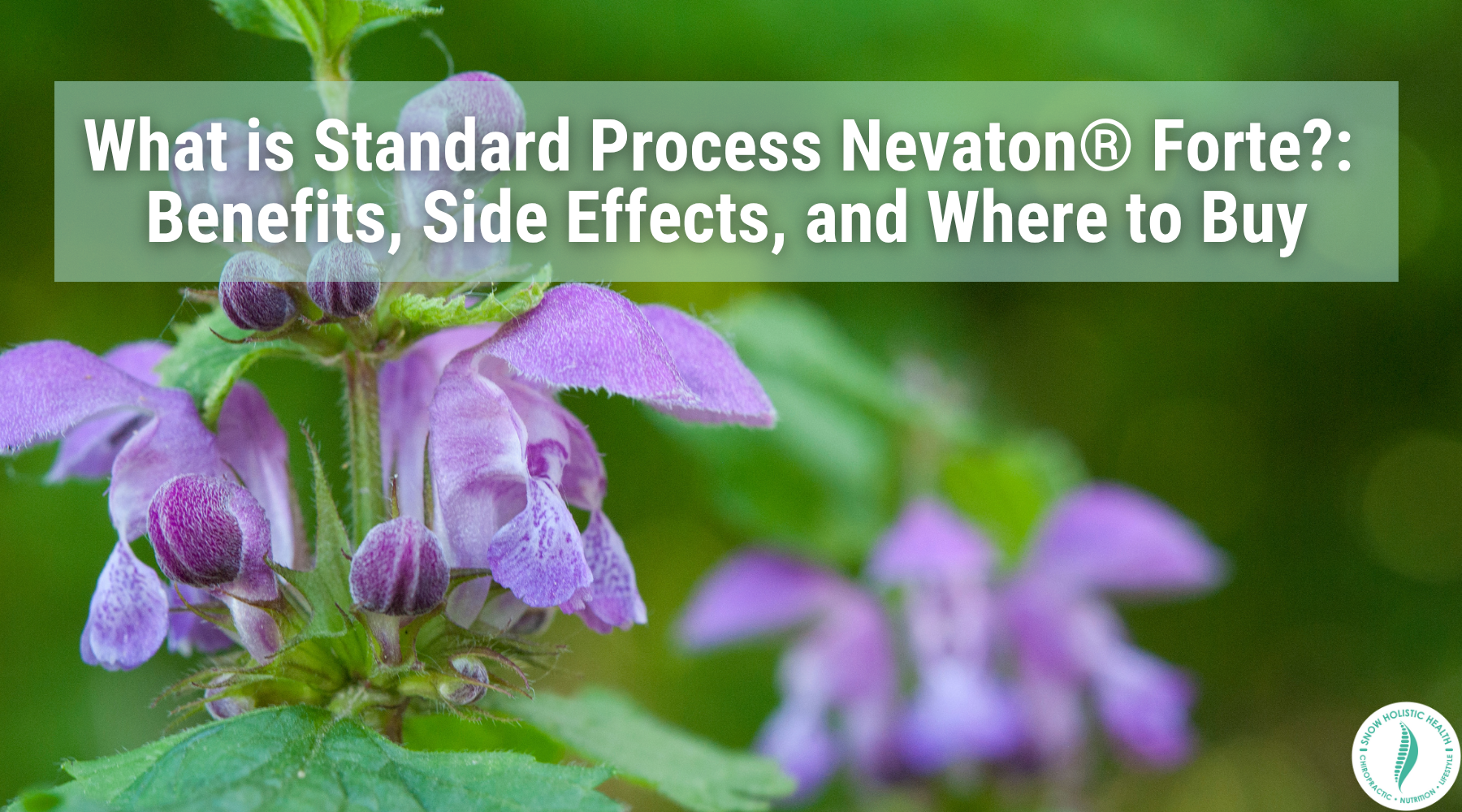 What is Standard Process Nevaton Forte?: Benefits, Side Effects, and Where to Buy
