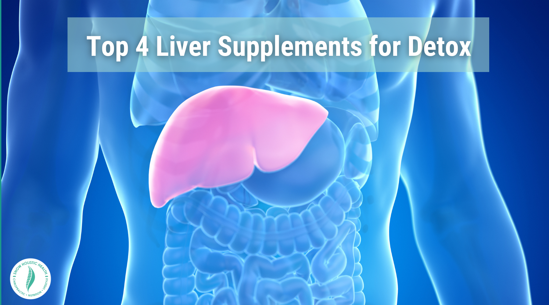 Top 4 Liver Supplements for Detox