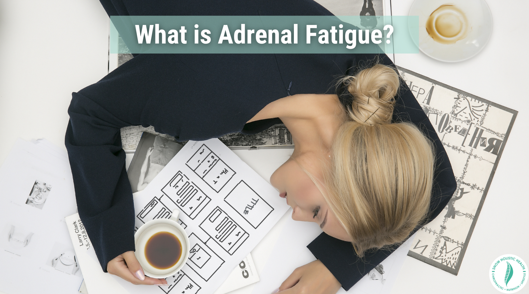 What is Adrenal Fatigue?