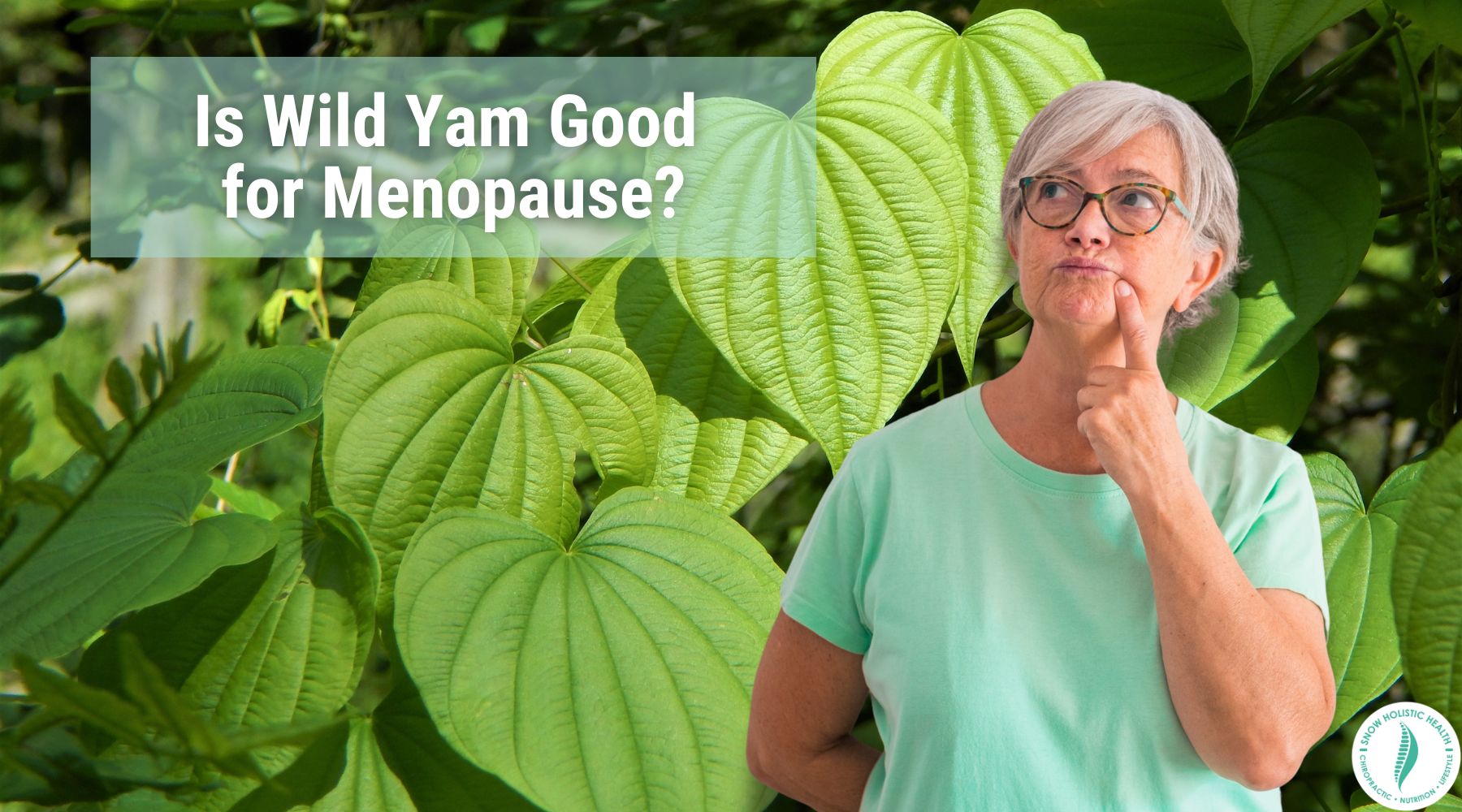 Is Wild Yam Good for Menopause?