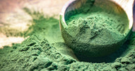 7 Benefits of Algae & How to Pick the Best One