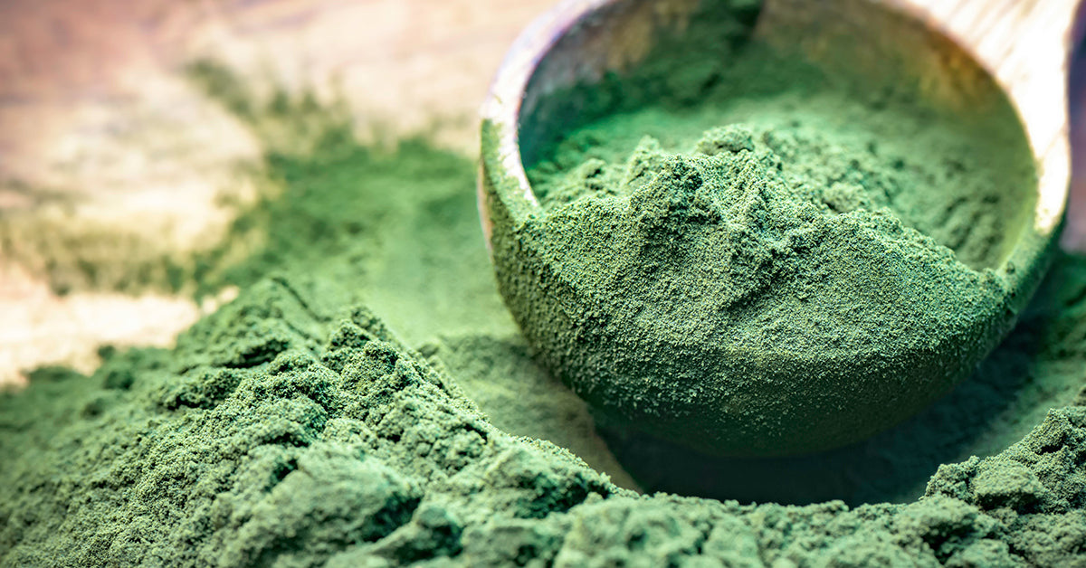 7 Benefits of Algae & How to Pick the Best One