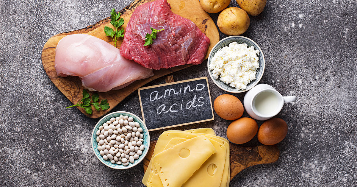 The Benefits Of Essential Amino Acids Across Weight Loss & General Wellness
