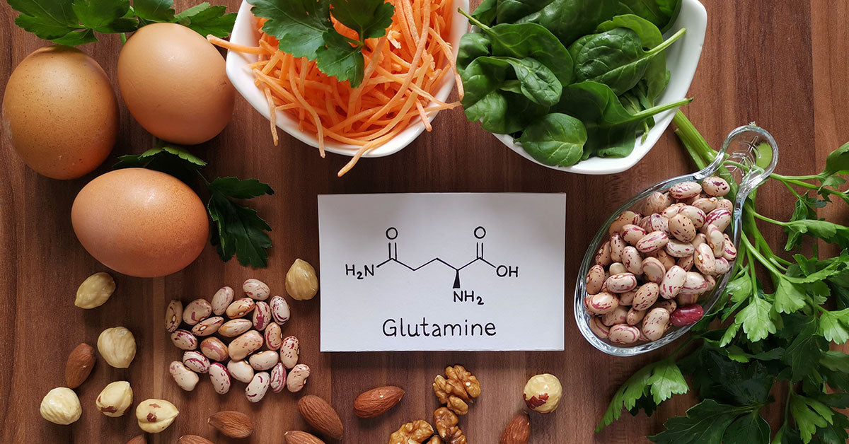 L-Glutamine Benefits Leaky Gut & Metabolism