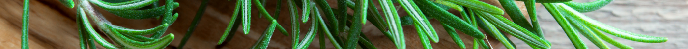 Rosemary Supplements: Health Benefits, Side Effects, and Where to Buy