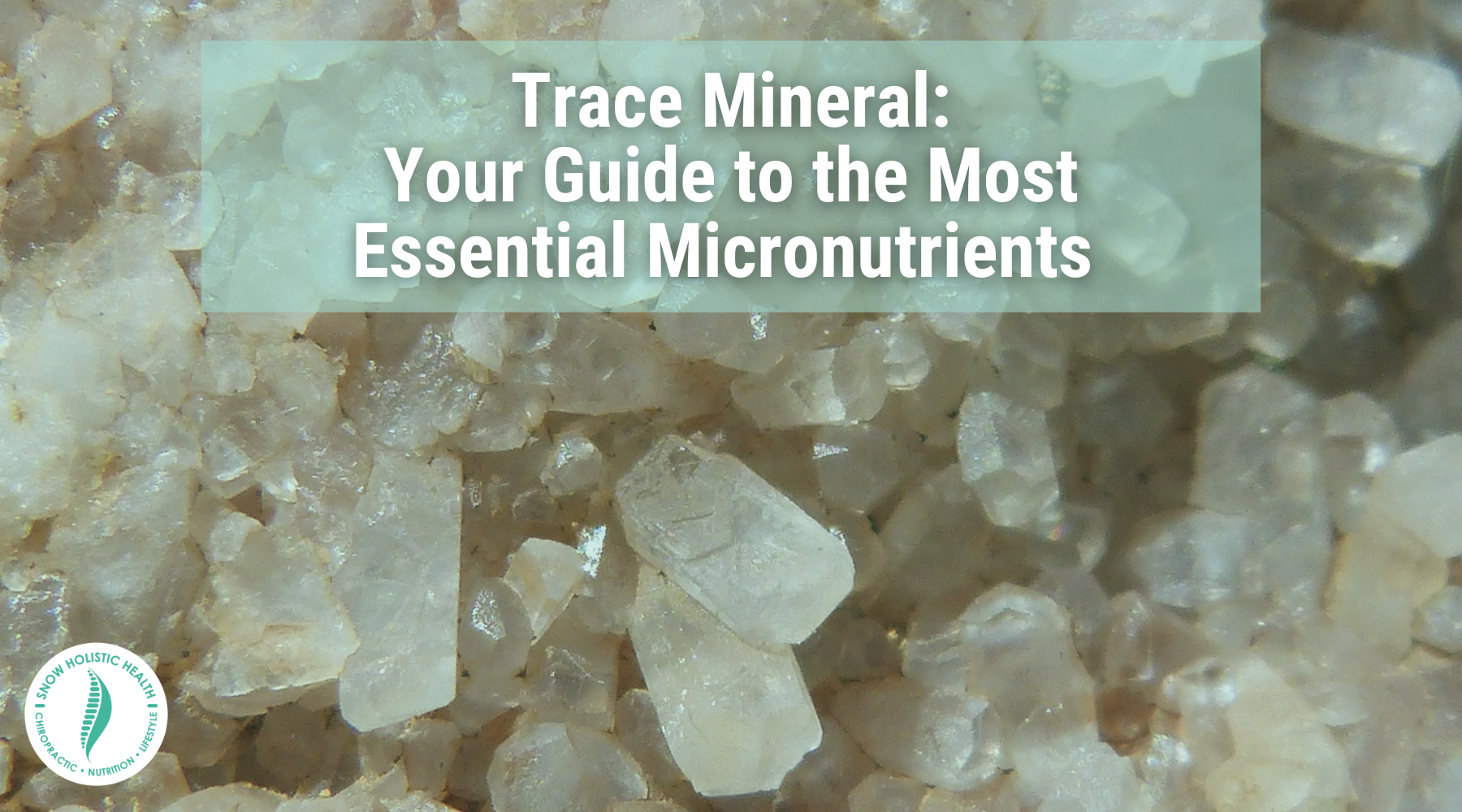 Trace Mineral: Your Guide to the Most Essential Micronutrients