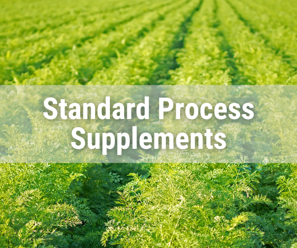 Standard Process Supplements Vitamins & Products - Snow Holistic Health