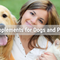 Supplements for Dogs and Pets