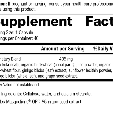 Ginkgo Synergy®, Rev 10 Supplement Facts