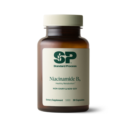 Niacinamide B6, 90 Capsules
