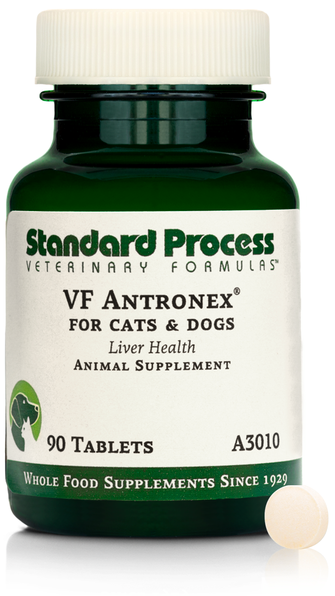 VF Antronex® for Pets, 90 Tablets