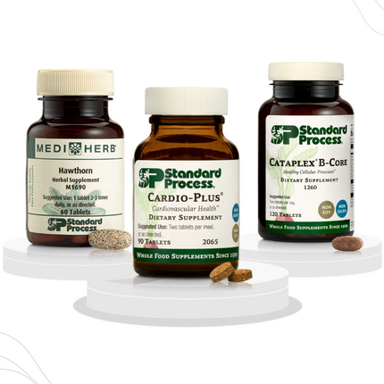 Healthy Cardiovascular System Support Protocol
