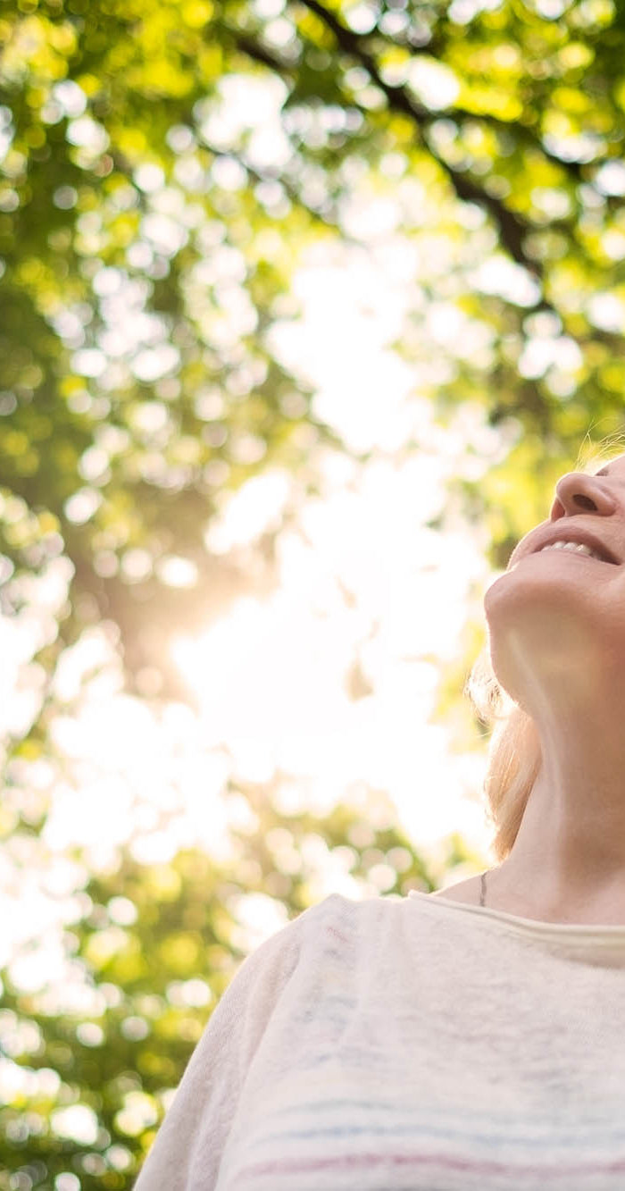 <h1>The Menopause <br/>Protocol</h1>