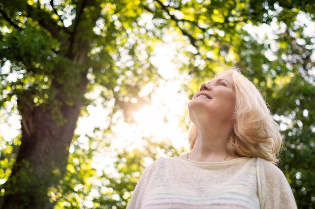 Banner image for: <h2>Menopause Protocol</h2>