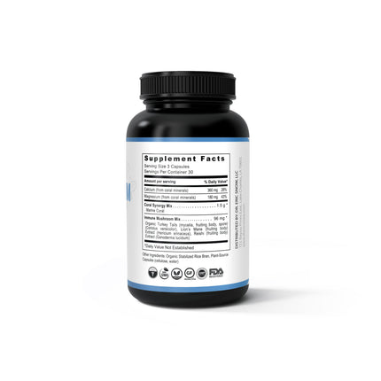 Magnesium Power